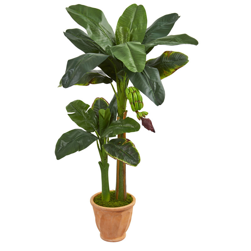 Bayou Breeze 50" Artificial Banana Leaf Tree in Planter Wayfair